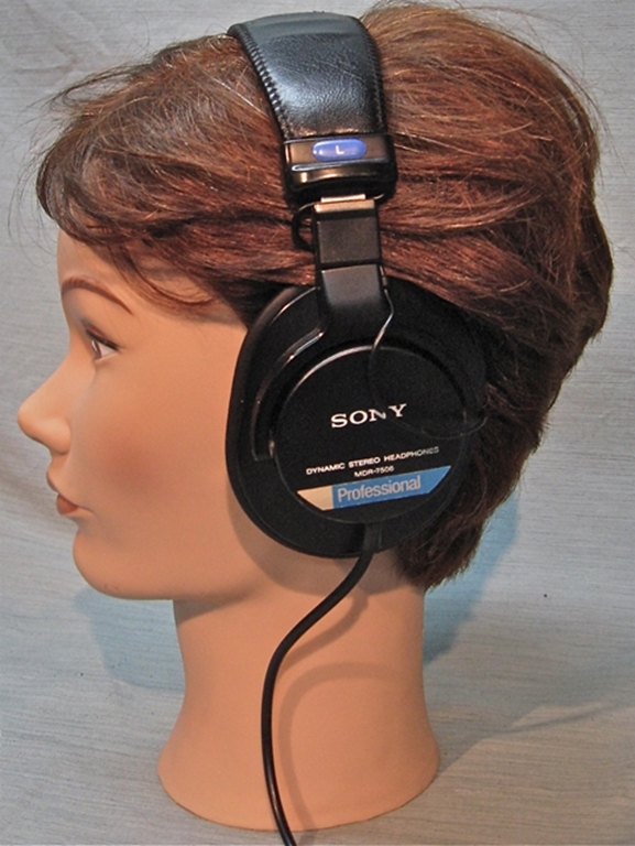 Image sur Sony MDR-7506 Pro Headphones
