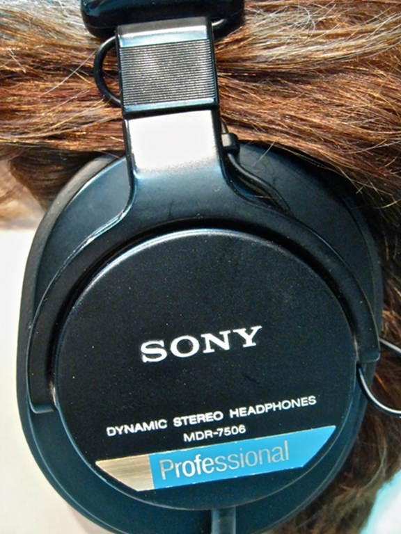 Image sur Sony MDR-7506 Pro Headphones