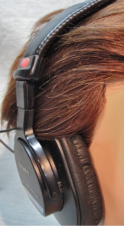 Image sur Sony MDR-7506 Pro Headphones