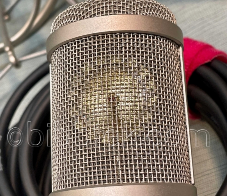 Picture of SE Electronics model SE 5500 large diaphragm, tube condenser microphone.