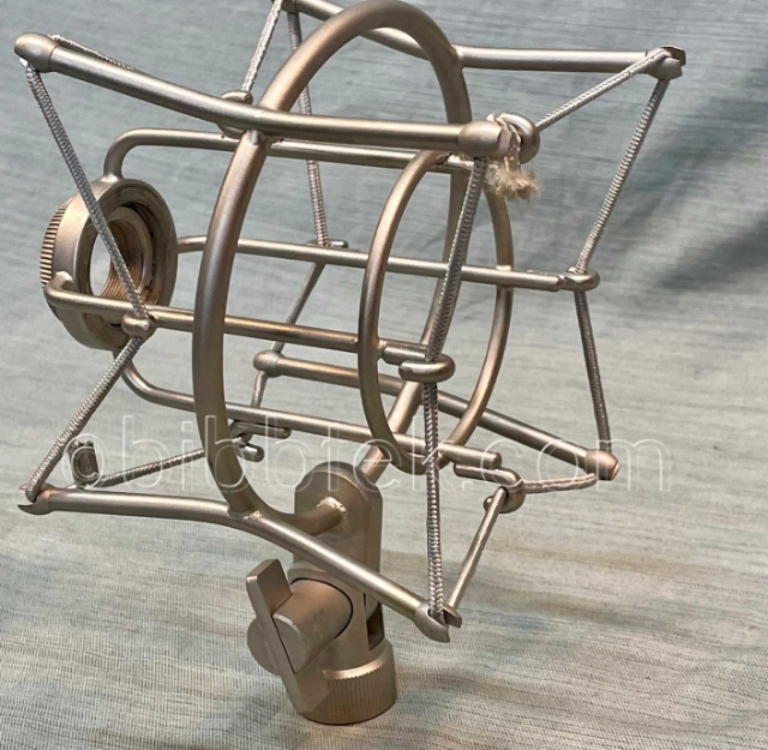 Picture of SE Electronics model SE 5500 large diaphragm, tube condenser microphone.